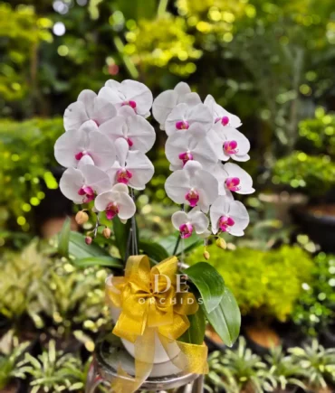 buket bunga terdekat