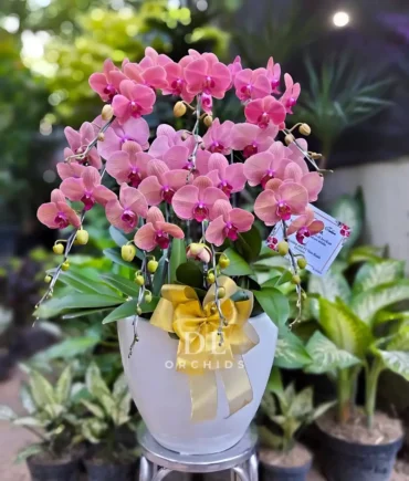 buket bunga wisuda 2