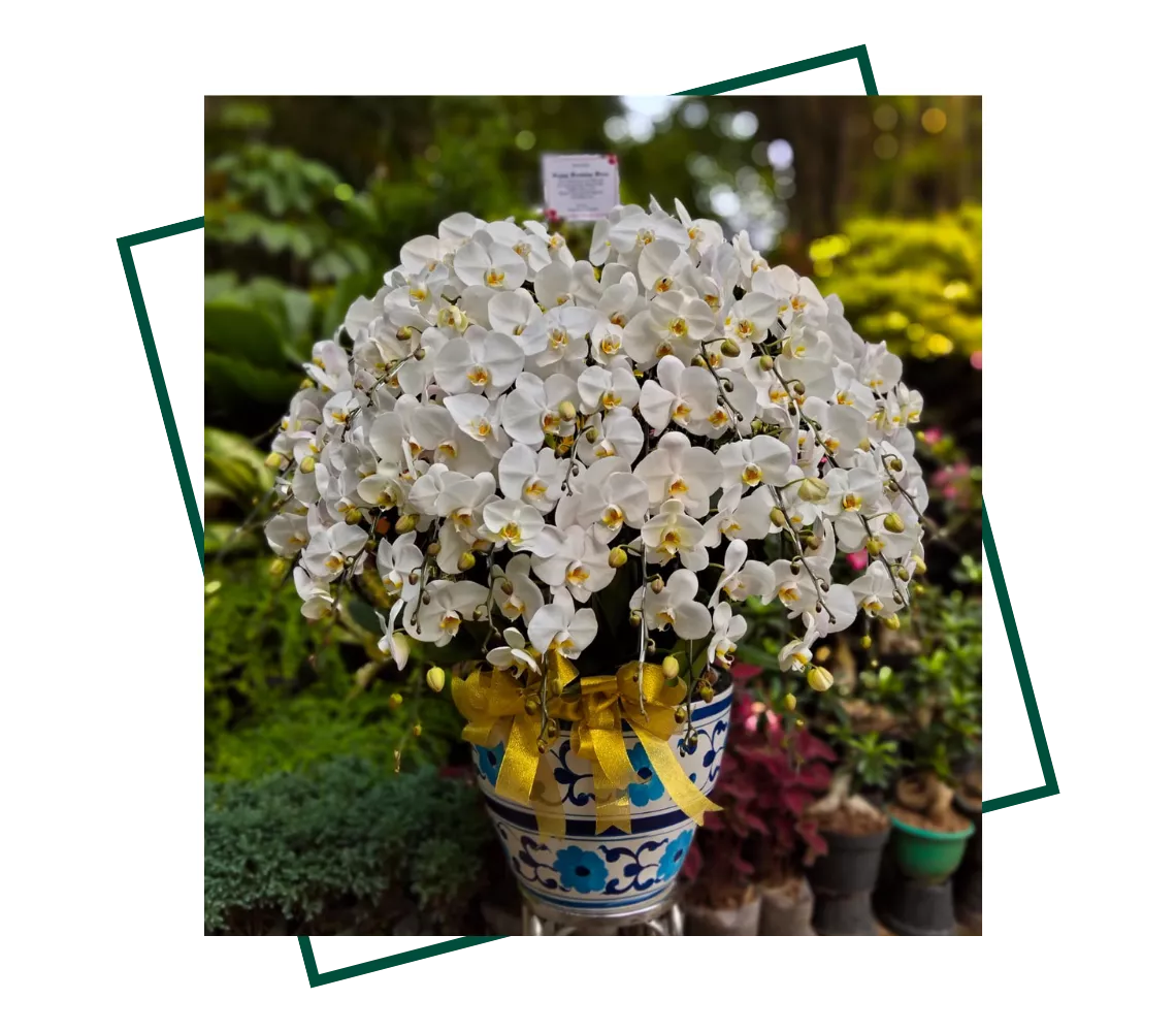 florist and dift dki jakarta